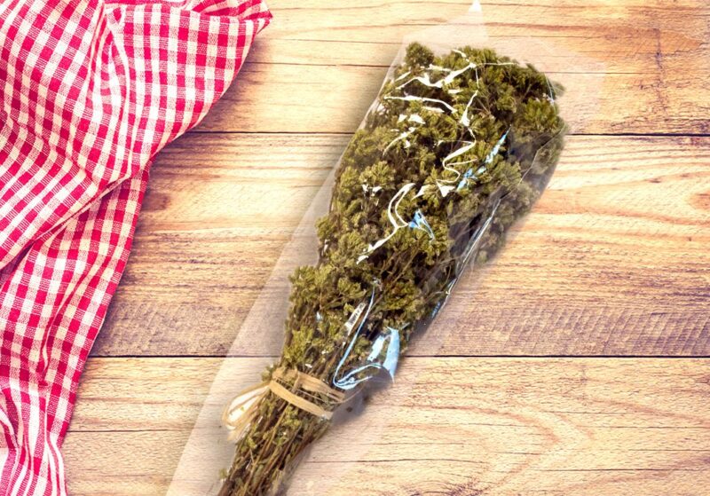 Origano